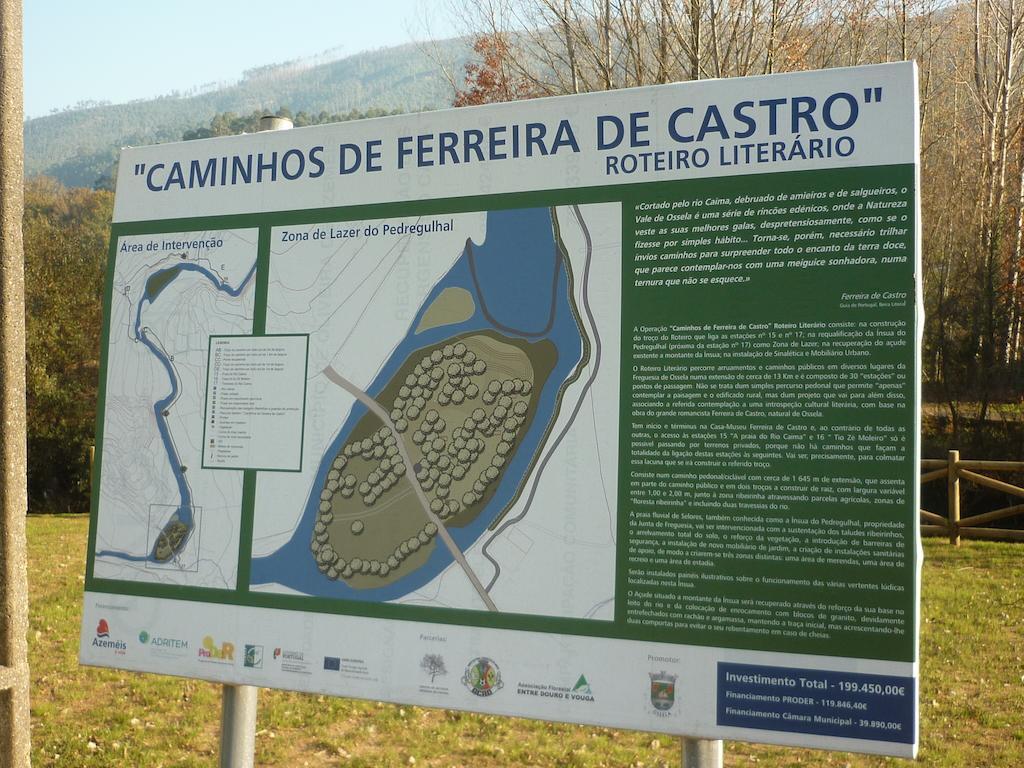 Casa Do Porto Carreiro Villa Oliveira de Azeméis Bagian luar foto