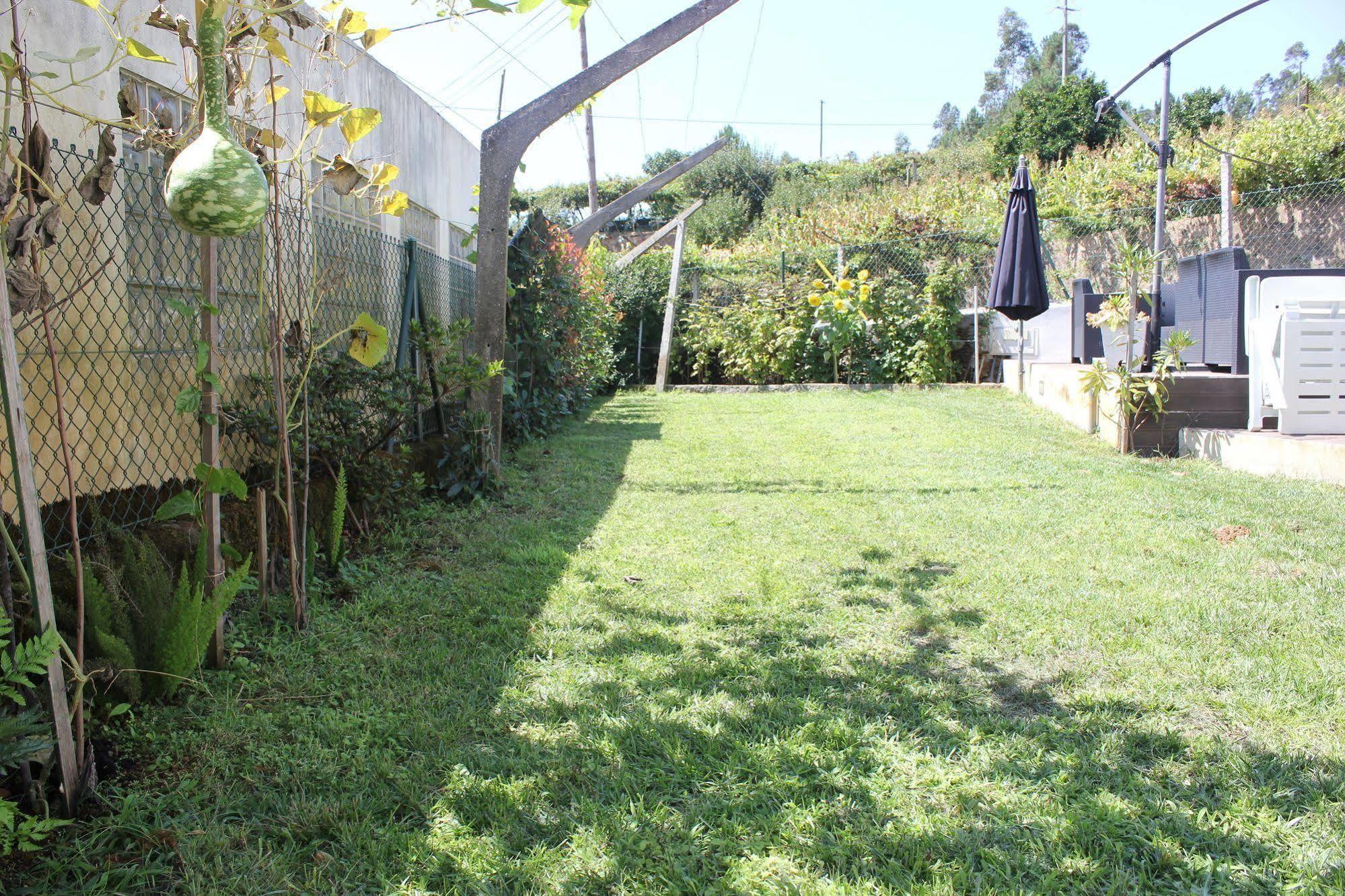 Casa Do Porto Carreiro Villa Oliveira de Azeméis Bagian luar foto