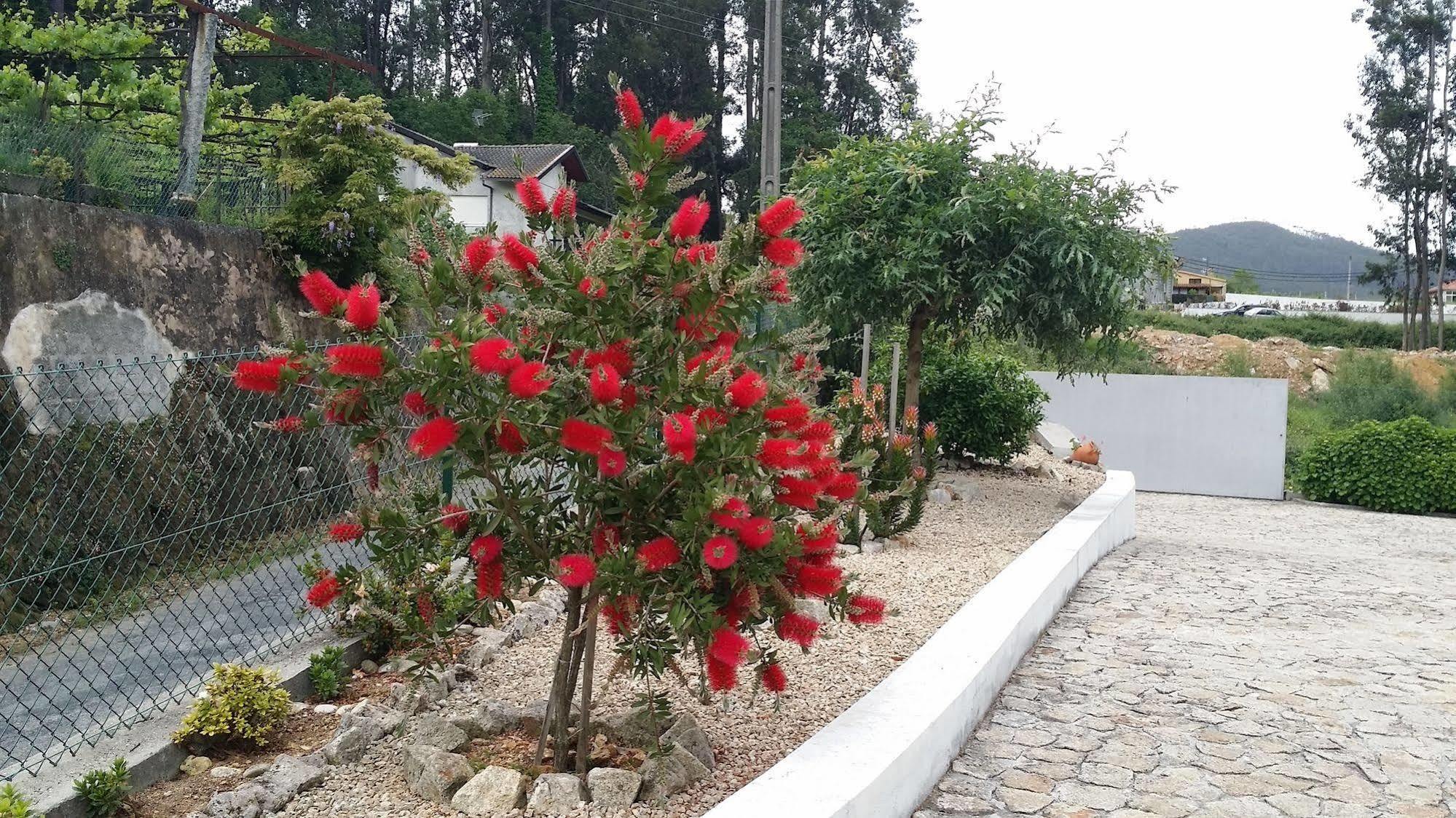 Casa Do Porto Carreiro Villa Oliveira de Azeméis Bagian luar foto