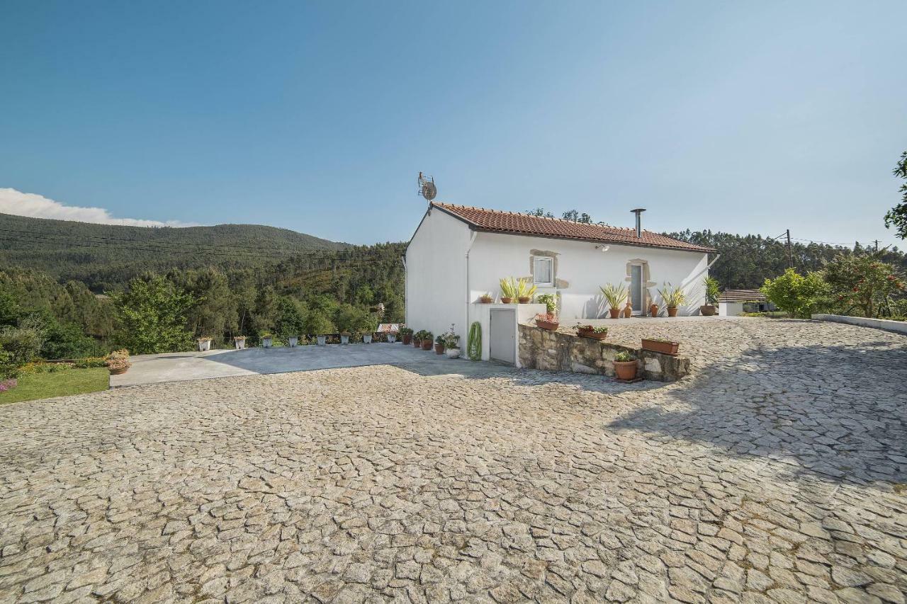 Casa Do Porto Carreiro Villa Oliveira de Azeméis Bagian luar foto
