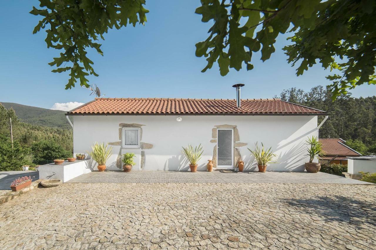 Casa Do Porto Carreiro Villa Oliveira de Azeméis Bagian luar foto