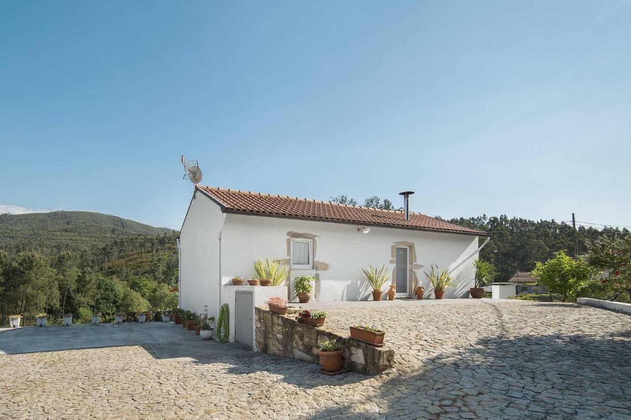 Casa Do Porto Carreiro Villa Oliveira de Azeméis Bagian luar foto
